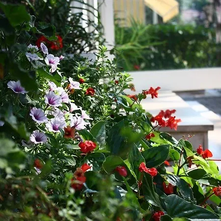 Meuble Zenith Hotel Lignano Sabbiadoro