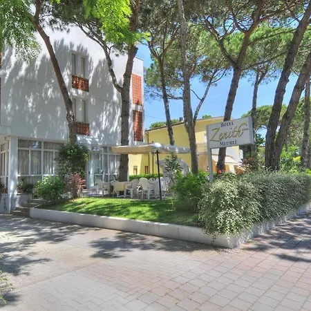 Hotel Meuble Zenith 3*